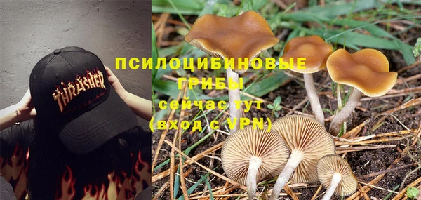 мет Арсеньев
