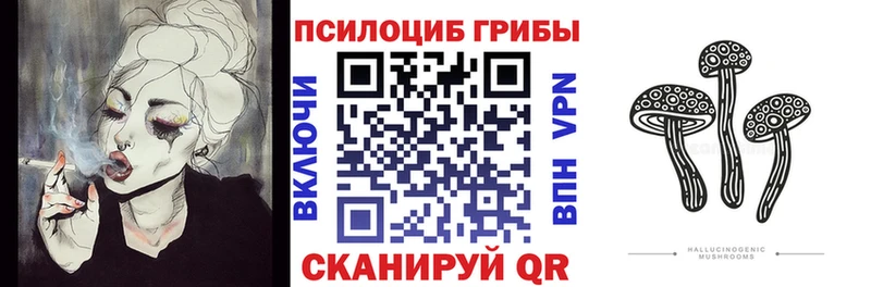 Купить закладки  Сатка  Галлюциногенные грибы GOLDEN TEACHER 